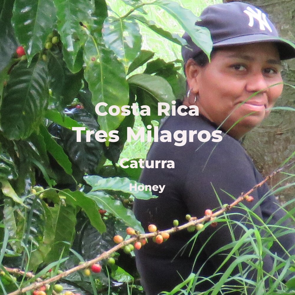 Discover the Richness: Our Costa Rica Bourbon Coffee